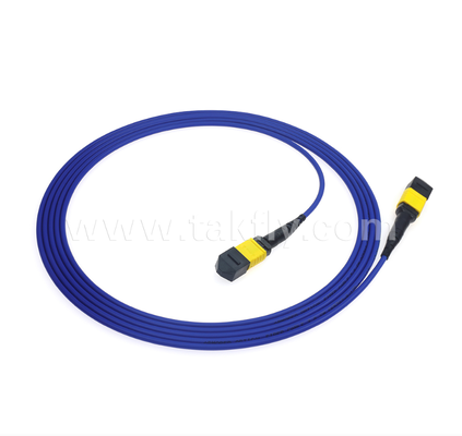 Gepanzerte MPO/MTP Patch Cord    Robuste Metallhülle, verhindert Schäden durch Nagetiere und Zerkleinern, für FTTA / Industrie / Bergbau