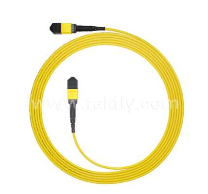 Gepanzerte MPO/MTP Patch Cord    Robuste Metallhülle, verhindert Schäden durch Nagetiere und Zerkleinern, für FTTA / Industrie / Bergbau