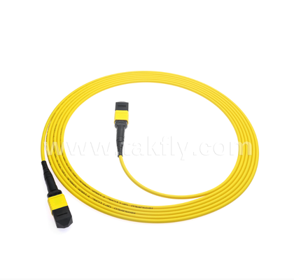 Gepanzerte MPO/MTP Patch Cord    Robuste Metallhülle, verhindert Schäden durch Nagetiere und Zerkleinern, für FTTA / Industrie / Bergbau