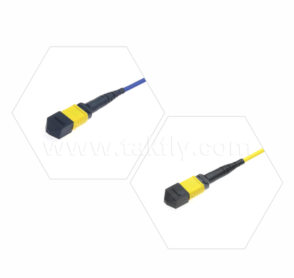 Gepanzerte MPO/MTP Patch Cord    Robuste Metallhülle, verhindert Schäden durch Nagetiere und Zerkleinern, für FTTA / Industrie / Bergbau