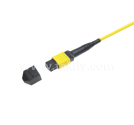 Gepanzerte MPO/MTP Patch Cord    Robuste Metallhülle, verhindert Schäden durch Nagetiere und Zerkleinern, für FTTA / Industrie / Bergbau