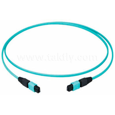 MPO MTP High-Density Multi-Fiber Patch Cord ️ 8/12/24 Kerne, geringer Verlust, 500 Paarungszyklen, IEC und TIA-konform