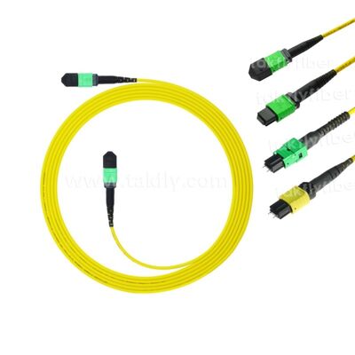 MPO MTP Patchkabel SM Trunk Kabel 12F Glasfaser für Data Center AI Telecom FTTX Verkabelung