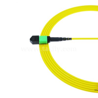 MPO MTP Patchkabel SM Trunk Kabel 12F Glasfaser für Data Center AI Telecom FTTX Verkabelung