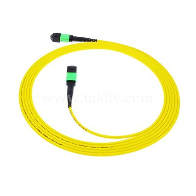 MPO MTP Patchkabel SM Trunk Kabel 12F Glasfaser für Data Center AI Telecom FTTX Verkabelung