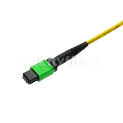 MPO MTP Patchkabel SM Trunk Kabel 12F Glasfaser für Data Center AI Telecom FTTX Verkabelung
