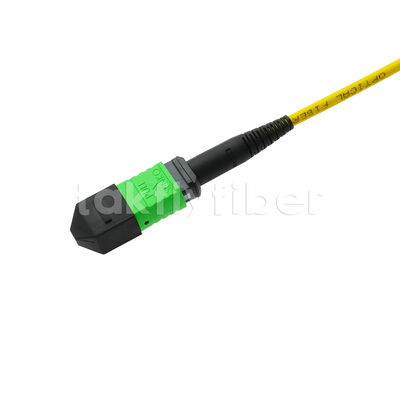 MPO MTP Patchkabel SM Trunk Kabel 12F Glasfaser für Data Center AI Telecom FTTX Verkabelung