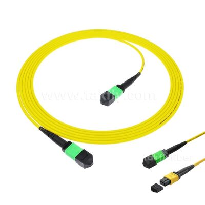 MPO MTP Patchcord SM Trunk Cable 24F Fiber Optic for Data Center AI Telecom FTTX Cabling
