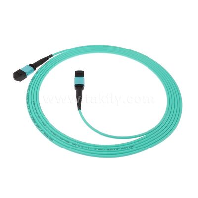 MPO MTP Patchcord Multimode OM3 Stammkabel 12F Glasfaser für das Rechenzentrum KI Telekommunikationskabel