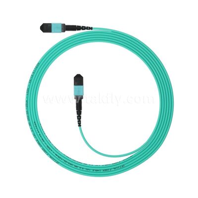 MPO MTP Patchcord MM OM3 Stammkabel 12F Glasfaser für Datencenter KI Telekommunikationskabel