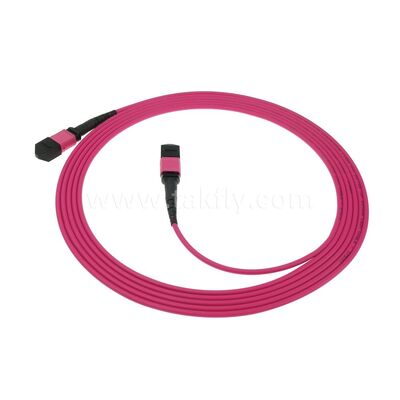 MPO MTP Patchcord Multimode OM4 Trunk Cable 24F Fiber Optic for Data Center AI Telecom Cabling