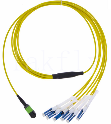 MPO to CS Breakout Patch Cord – High-Density Multi-fiber to CS Uniboot, 4/8/12/16/24F, Low Insertion Loss for Data Centers