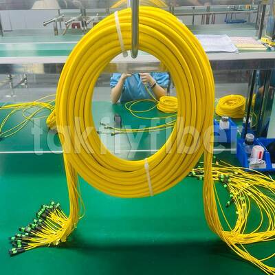 Takfly MPO/MTP Patch Cord 8/12/24 Kerne bis 576 Kerne Niedriger Verlust 500 Paarungszyklen IEC & TIA konform