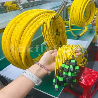 Takfly MPO/MTP Patch Cord 8/12/24 Kerne bis 576 Kerne Niedriger Verlust 500 Paarungszyklen IEC & TIA konform