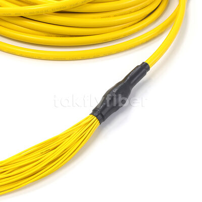 Amphenol angepasst 288 Fasern 0,35 dB Max Insertion Verlust Singlemode OS2 MPO Stammkabel für Rechenzentrum