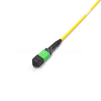 Amphenol angepasst 288 Fasern 0,35 dB Max Insertion Verlust Singlemode OS2 MPO Stammkabel für Rechenzentrum