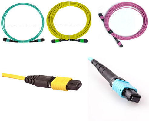 Faser-Optikverbindungskabel-Data Centers MPO CPR 24C LWL - Kabel
