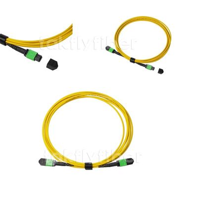 4/8/12/24 Kerne MPO MPO-Faser-zum Optikflecken-Kabel mit Inspektionsstandardverlust