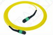 MTP-12 APC Weiblich zu MTP-12 APC Weiblich Einmodus OS2 Plenum OFNP Typ A MPO-Pflasterkabel