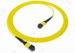 MTP-12 APC Weiblich zu MTP-12 APC Weiblich SingleMode OS2 Plenum OFNP Typ A MPO Patch Cord 5m 16ft