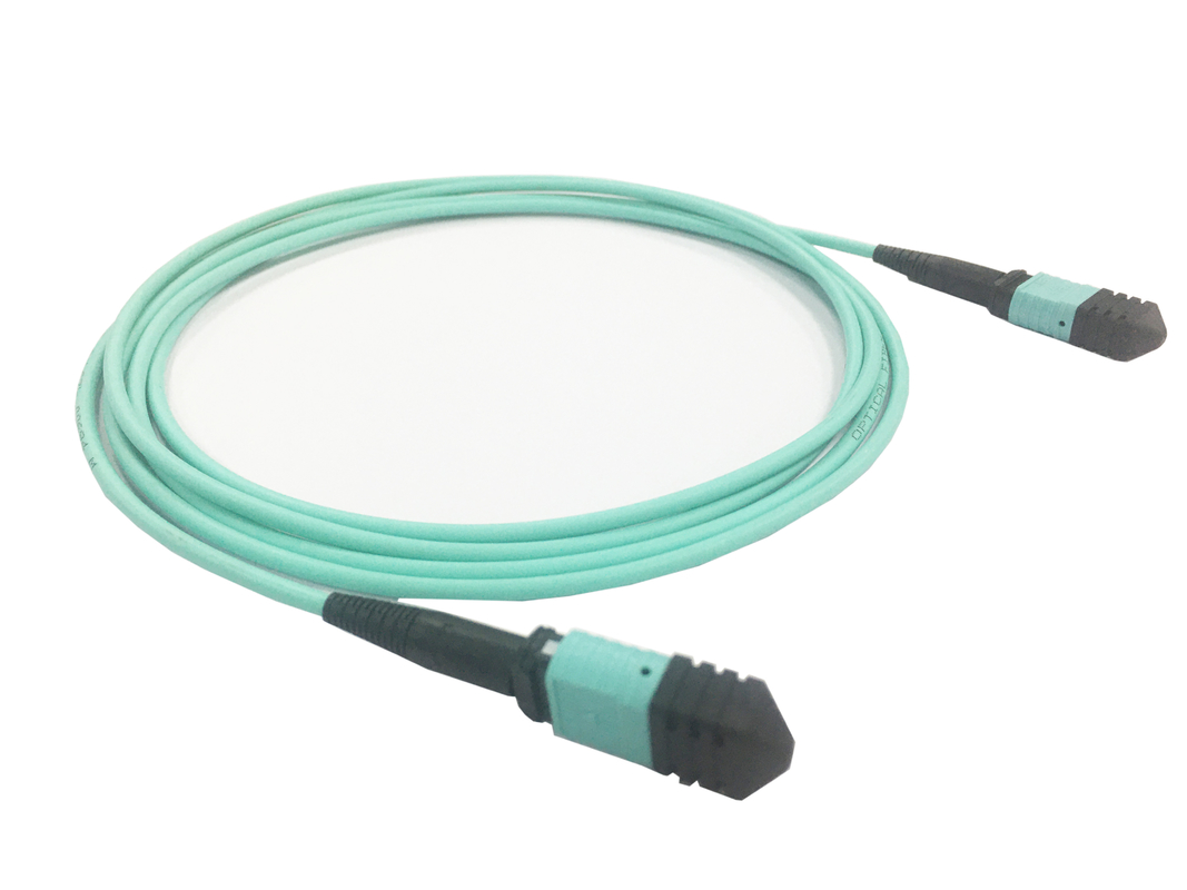 Elite Multimode OM3 50/125, Plenum OFNP Typ B MPO Patch Cord 3m 10ft MTP-12 PC weiblich zu MTP-12 PC weiblich