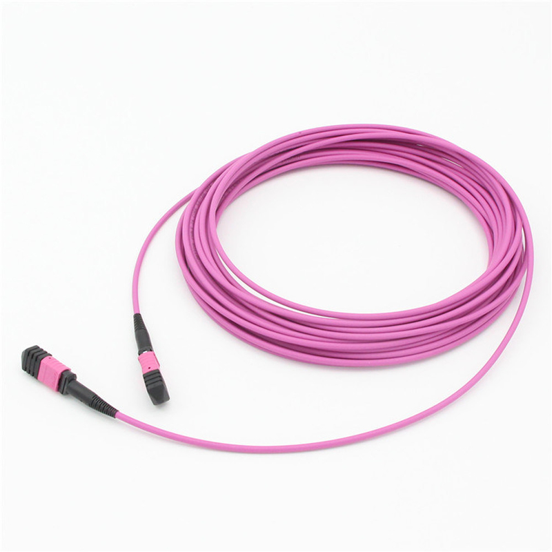 Elite Multimode OM4 50/125, Plenum OFNP Typ B MPO Patch Cord 1m 3ft MTP-12 PC Weiblich auf MTP-12 PC Weiblich