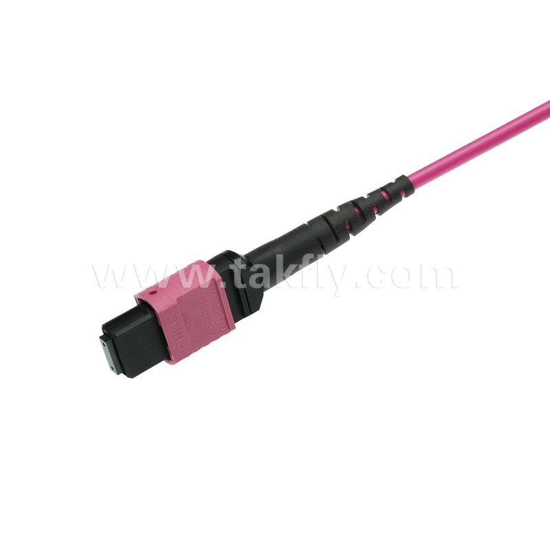 Elite Multimode OM4 50/125 Plenum OFNP Typ B MPO Patch Cord 3,0mm Kabel 10m 33ft MTP-12 PC weiblich auf MTP-12 PC weiblich