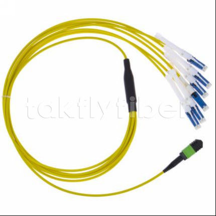 Dauerhaftes MPO-CS-Faseroptik-Patch-Kabel mit Einfühlloss ≤ 0,3 dB und Glasfaserdurchmesser 50/125 für Telekommunikationsnetze