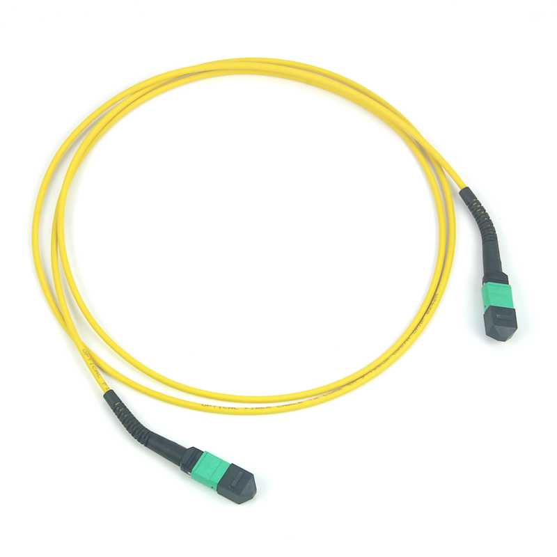 12/24/48/96/144 Kerne LC SC FC MPO MTP Stammkabel Jumper Glasfaser Patchcord