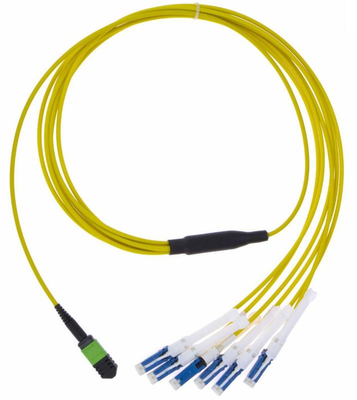 MPO-CS Breakout-Fiber-Optic Patch Cord PVC/LSZH SM/MM