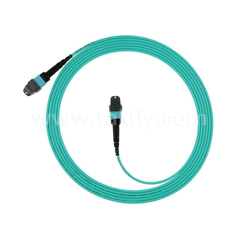 Hochdichte OM3 OM4 OM5 Multimode 8F 12F 16F 24F MPO MTP Multimode Glasfaser-Patchkabel / Glasfaser-Patchkabel / Glasfaser-Jumper / Glasfaser-Trunkkabel für Rechenzentren