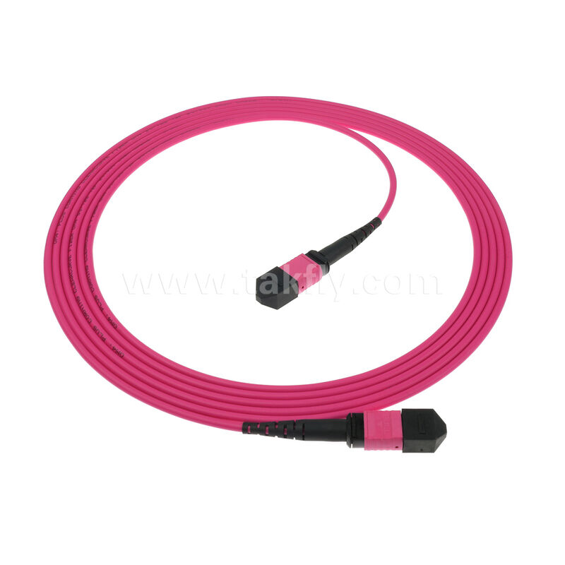 MPO MTP Männlich Weiblich 8F 12F 16F 24F MM Multimode OM4 Glasfaserpatchcord / Glasfaserpatchkabel / Glasfaserbreakoutkabel / Glasfaser Stammkabel