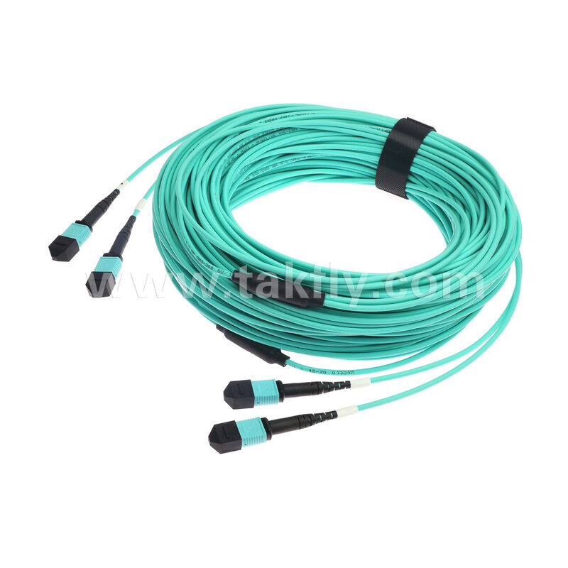 24 Fasern 2x12F MPO MTP- 2x12F MPO MTP Männlich Weiblich OM3 OM4 Multimode Glasfaser Patchcord / Glasfaser Patch Kabel / Glasfaser Breakout Kabel / Glasfaser Trunk Kabel / Glasfaser Fanout Kabel
