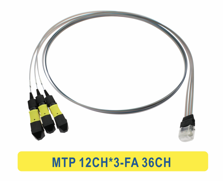 3*12F MTP bis 36CH FA Fiber Array Fiber Optic Patchcord Kabel