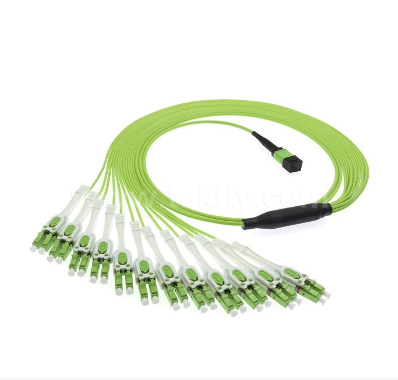 MPO/MTP zu LC Uniboot Breakout Patch Cord OM5 Multimode, 1×24, platzsparende Uniboot LC-Anschlüsse für Hochdichte-Rechenzentrum und 40G/100G/400G-Anwendungen