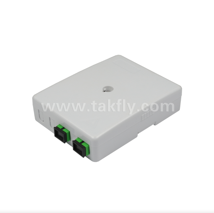 TKS-1806-02E 2-Hafen-Wandmontage-Box