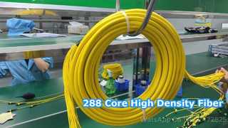 288F MPO/MTP-Patchkabel