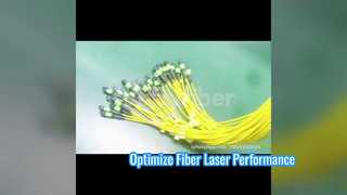 288F MPO MTP Patchkabel
